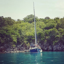 Comet 36 Sport