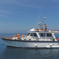Comena 50