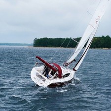 Northman Maxus 33.1 RS