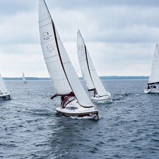 Northman Maxus 33.1 RS