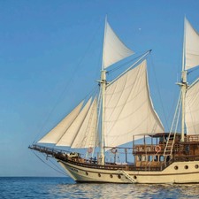 Custom Built Phinisi