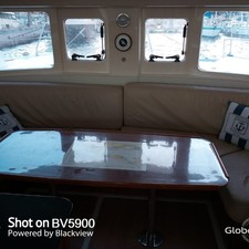 Leopard 39