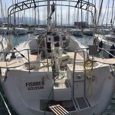 Delphia 40