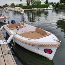 Silver 495