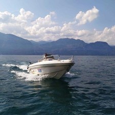 Ranieri international shadow 19