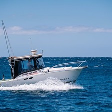 Luhrs 25