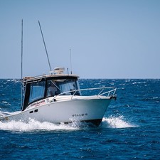Luhrs 25