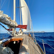 Ambrosi Sciarrelli 50