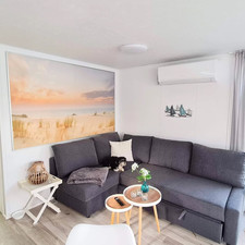 WOMAD13 Edition Buchholz