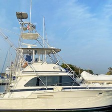 Bertram 60 Convertible