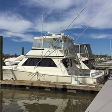 Viking 50 Conv Sport Fisher
