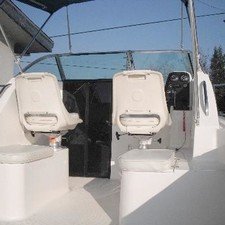 Wellcraft 290 Coastal