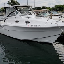Sea Fox 287 Walkaround