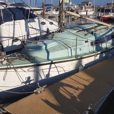 Snapdragon 26 (available)