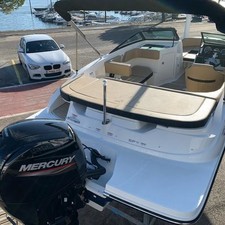 Sea Ray SPX 190 OB