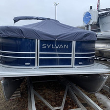 Sylvan 8520 Party Fish