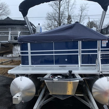 Sylvan 8520 Party Fish