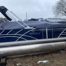 Sylvan 8520 Party Fish