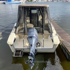 Velvette 23 Active Sedan