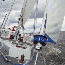 НКИ-41 Tiger (Tango)