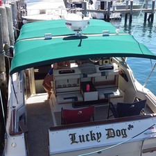 Sea Ray 300 Sundancer
