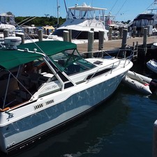 Sea Ray 300 Sundancer