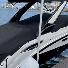 Sea Ray SDX 250