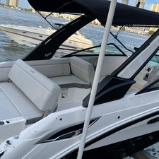 Sea Ray SDX 250
