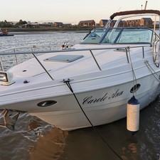 Mariah Z308