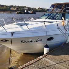 Mariah Z308