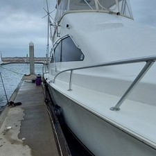 Ocean Yachts Convertible