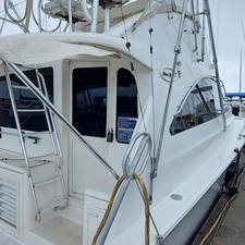 Ocean Yachts Convertible