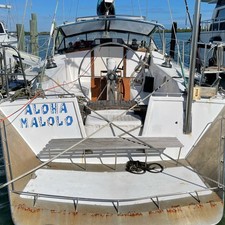 Custom Luxury Cruiser 190