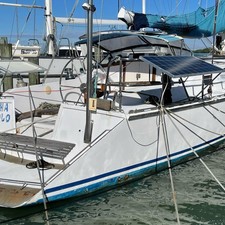 Custom Luxury Cruiser 190