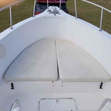 Cobia 217 center console