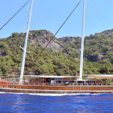 Gulet Deniz Felix Balina