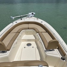 Scout Boats 251 XS