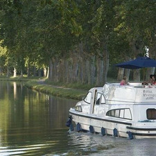 Comfort PlusRoyal Mystique A