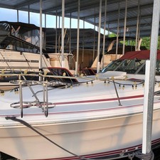 Sea Ray 310 Sundancer