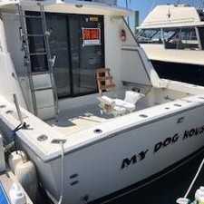 Luhrs Tournament 400 Sportfish