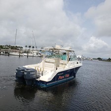 Wellcraft 290 Coastal