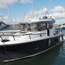 Sargo 31