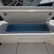 Sea Born FX 25