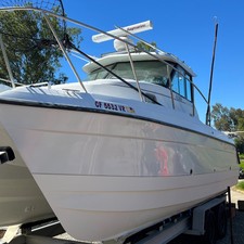 Glacier bay isle runner blue hull 2670