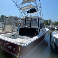 Rampage 31 Sportfisher