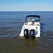 Sea Ray SDX 290 Outboard