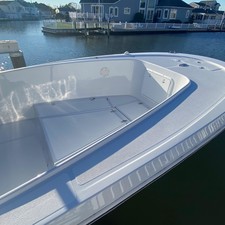 True World Marine 24
