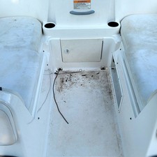 Bayliner Element XL