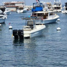 Caravelle sea hawk 230