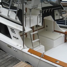 Blackfin 29 combi